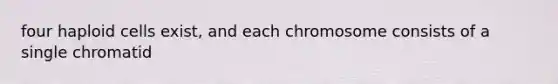 four haploid cells exist, and each chromosome consists of a single chromatid