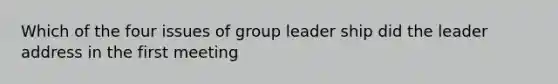 Which of the four issues of group leader ship did the leader address in the first meeting