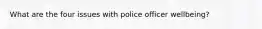 What are the four issues with police officer wellbeing?