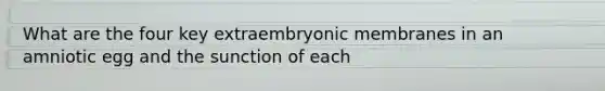 What are the four key extraembryonic membranes in an amniotic egg and the sunction of each