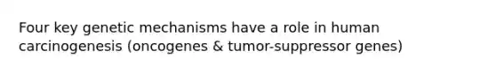 Four key genetic mechanisms have a role in human carcinogenesis (oncogenes & tumor-suppressor genes)