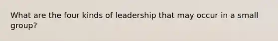 What are the four kinds of leadership that may occur in a small group?