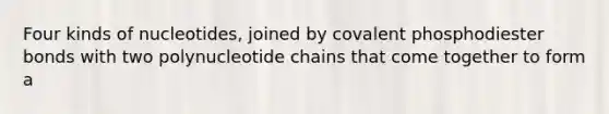 Four kinds of nucleotides, joined by covalent phosphodiester bonds with two polynucleotide chains that come together to form a