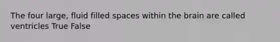 The four large, fluid filled spaces within the brain are called ventricles True False