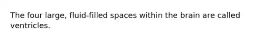 The four large, fluid-filled spaces within <a href='https://www.questionai.com/knowledge/kLMtJeqKp6-the-brain' class='anchor-knowledge'>the brain</a> are called ventricles.