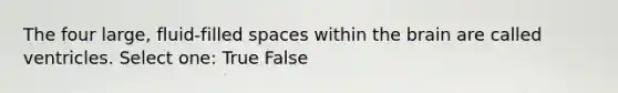 The four large, fluid-filled spaces within <a href='https://www.questionai.com/knowledge/kLMtJeqKp6-the-brain' class='anchor-knowledge'>the brain</a> are called ventricles. Select one: True False