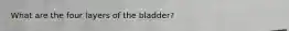 What are the four layers of the bladder?