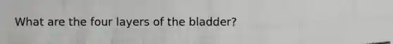 What are the four layers of the bladder?