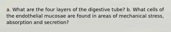 a. What are the four layers of the digestive tube? b. What cells of the endothelial mucosae are found in areas of mechanical stress, absorption and secretion?