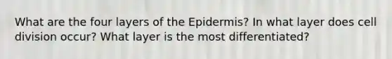 What are the four layers of the Epidermis? In what layer does cell division occur? What layer is the most differentiated?