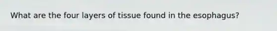 What are the four layers of tissue found in the esophagus?