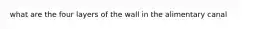 what are the four layers of the wall in the alimentary canal