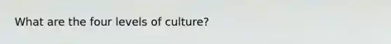 What are the four levels of culture?