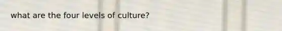 what are the four levels of culture?