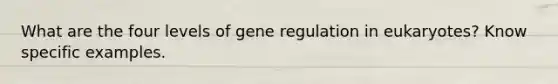 What are the four levels of gene regulation in eukaryotes? Know specific examples.