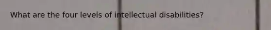 What are the four levels of intellectual disabilities?