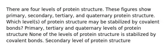 There are four levels of protein structure. These figures show primary, secondary, tertiary, and quaternary protein structure. Which level(s) of protein structure may be stabilized by covalent bonds? Primary, tertiary and quaternary levels of protein structure None of the levels of protein structure is stabilized by covalent bonds. Secondary level of protein structure