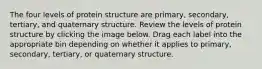 The four levels of protein structure are primary, secondary, tertiary, and quaternary structure. Review the levels of protein structure by clicking the image below. Drag each label into the appropriate bin depending on whether it applies to primary, secondary, tertiary, or quaternary structure.