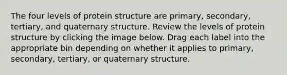 The four levels of protein structure are primary, secondary, tertiary, and quaternary structure. Review the levels of protein structure by clicking the image below. Drag each label into the appropriate bin depending on whether it applies to primary, secondary, tertiary, or quaternary structure.