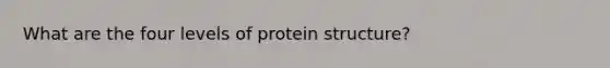 What are the four levels of protein structure?