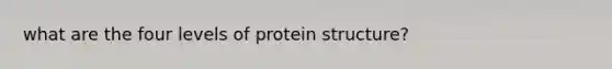 what are the four levels of protein structure?