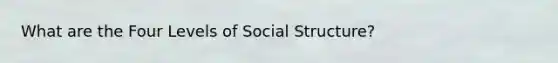 What are the Four Levels of Social Structure?