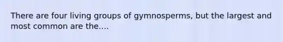 There are four living groups of gymnosperms, but the largest and most common are the....