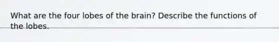 What are the four lobes of the brain? Describe the functions of the lobes.