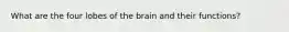 What are the four lobes of the brain and their functions?