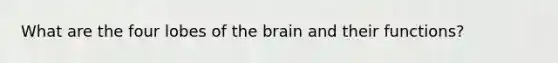 What are the four lobes of the brain and their functions?