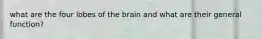 what are the four lobes of the brain and what are their general function?