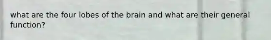 what are the four lobes of the brain and what are their general function?