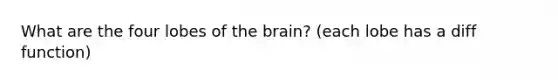 What are the four lobes of the brain? (each lobe has a diff function)