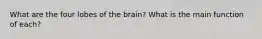 What are the four lobes of the brain? What is the main function of each?