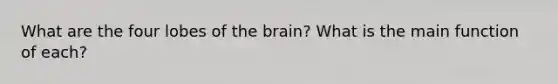 What are the four lobes of the brain? What is the main function of each?