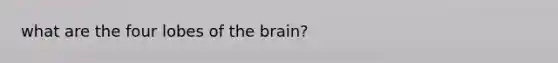 what are the four lobes of <a href='https://www.questionai.com/knowledge/kLMtJeqKp6-the-brain' class='anchor-knowledge'>the brain</a>?