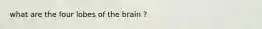 what are the four lobes of the brain ?