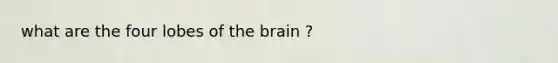 what are the four lobes of the brain ?