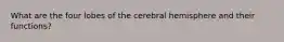 What are the four lobes of the cerebral hemisphere and their functions?