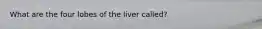 What are the four lobes of the liver called?