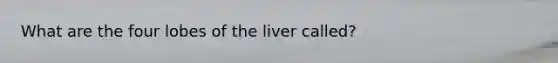 What are the four lobes of the liver called?