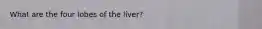 What are the four lobes of the liver?