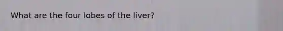 What are the four lobes of the liver?