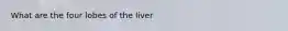 What are the four lobes of the liver