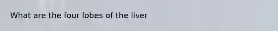 What are the four lobes of the liver