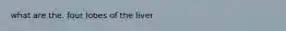 what are the. four lobes of the liver