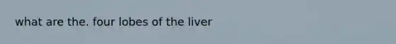 what are the. four lobes of the liver