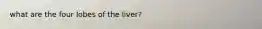 what are the four lobes of the liver?