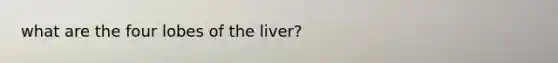 what are the four lobes of the liver?