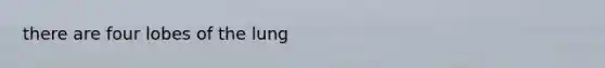there are four lobes of the lung